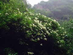 iphone_upload_pic-千佛崖风景区