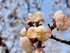 -北京金海湖景区