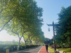 -宜兴龙背山森林公园