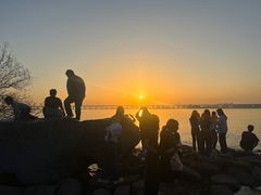 -宝安西湾红树林湿地公园