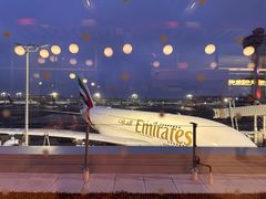 -约翰·菲茨杰拉德·肯尼迪国际机场