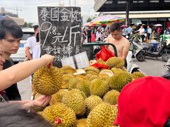 -海吉星市场