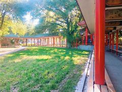 -吉林大学(前卫南区)
