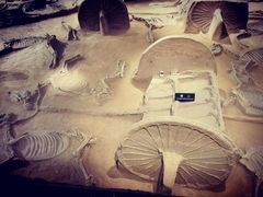 -洛阳周王城天子驾六博物馆