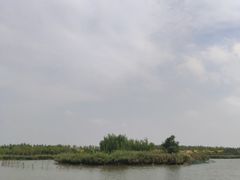 -西青郊野公园