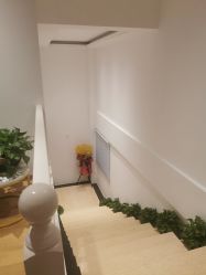 -Dr.林醫生产后修复·配方产康店(南京大厂店)