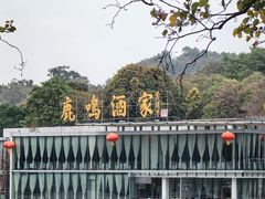 -鹿鸣酒家(越秀店)