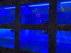 -毛家饭店·30年融合新湘菜(无影山店)