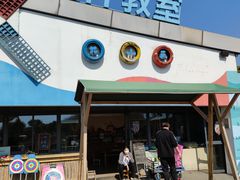 -田园东方蜜桃村的田野营地