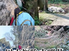 -贵阳猴耳天坑·极限酷玩公园