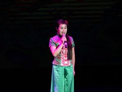 -陕北民歌大舞台