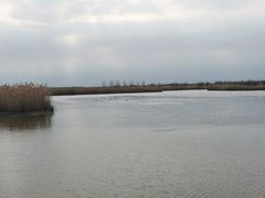 -盐城丹顶鹤湿地生态旅游区
