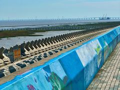 -南汇嘴观海公园