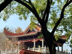 -南岳衡山风景名胜区-南岳大庙