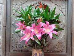 -陈麻婆豆腐(旗舰店)