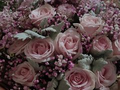 -爱尚幸福鲜花(上地实体店)