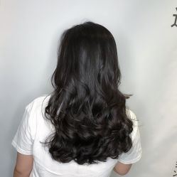 -藤野造型