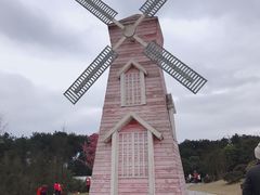 -铁山坪森林公园