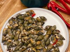 腌制血蛤-铭聚章鱼土笋冻(松柏店)