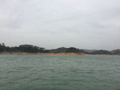 -广州市流溪河国家森林公园