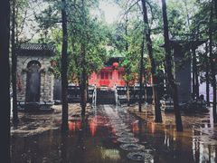 景点-少林寺景区