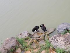 -东丽湖风景区