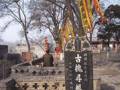 -大槐树寻根祭祖园