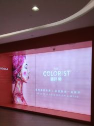 -THE COLORIST调色师