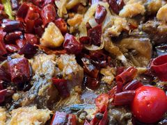 -老板恋上鱼(恒隆广场店)