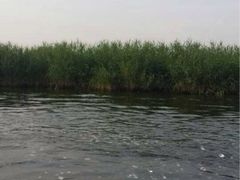 坐船拍的-鲜鱼居饭店