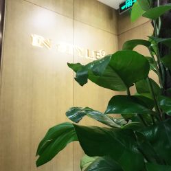 -专业烫发染发接发