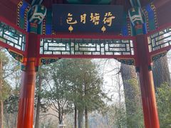 -清华大学-观畴园餐厅