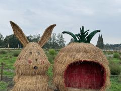 -中国天府农业博览园