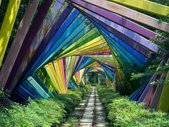 -合肥滨湖国家森林公园