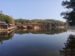 -三水森林公园