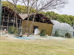 -苏州太湖西山岛开心农场