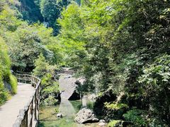 -石台牯牛降景区