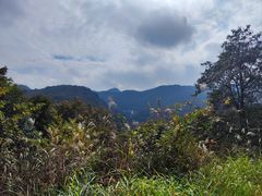 -午潮山国家森林公园