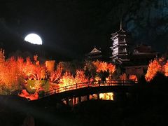 -禅宗少林·音乐大典