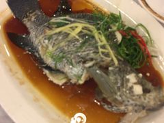 -金城大酒店-中餐厅(汾江中路店)