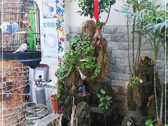 -丽江庭院之丽江往事(安定门店)