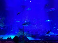 -沈阳海洋探索中心