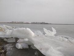 -天津东丽湖风景区