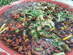 -东吴霸王兔(松青路店)