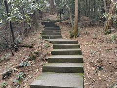 -缙云山景区