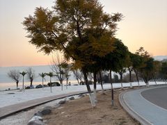 -西昌邛海湿地