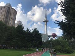 -龙塔