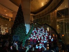 -厦门喜来登酒店