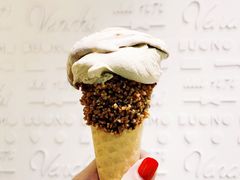 开心果-VENCHI 闻绮(北京国贸商城店)