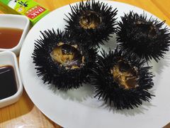 -枸杞岛